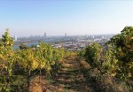 Der grandiose Ausblick auf die wunderschöne Wiener Stadt! - Emmerich - Wien