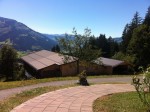 Die eigene Viehzucht! Links der Stall. - Ruetzenhof - Kirchberg in Tirol