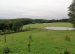 Viel Natur gibt's da oben zu sehen..... - Berghotel Tulbingerkogel - Mauerbach bei Wien