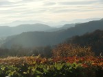 Herrlicher Fernblick von der Terrasse - Winzerhaus - KAINDORF an der Sulm