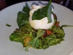 Cremiger Burrata mit Salaten - Babenbergerhof - MÖDLING