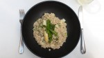 Rollgerstlrisotto mit Marchfelder Spargel - Labstelle Wien - Wien