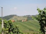 Weingut Buschenschank Kögl - Ratsch an der Weinstraße