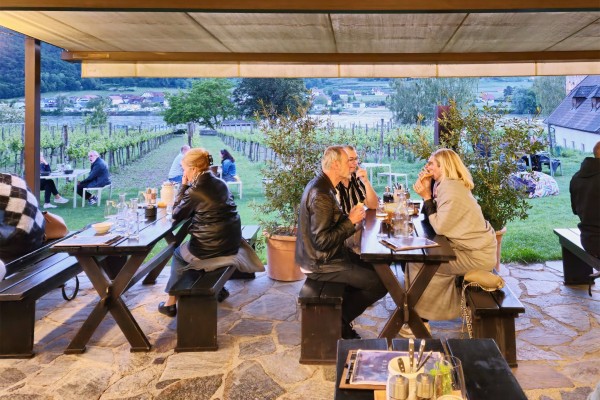 Alter Klosterkeller - Terrassenbereich mit sehr schönem Blick auf Weingarten ... - Alter Klosterkeller - Dürnstein